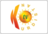 Kurdistan TV
