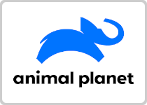 Animal Planet