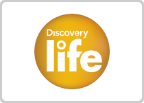 Discovery Life