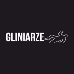 Gliniarze